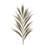 Rayung grass natural