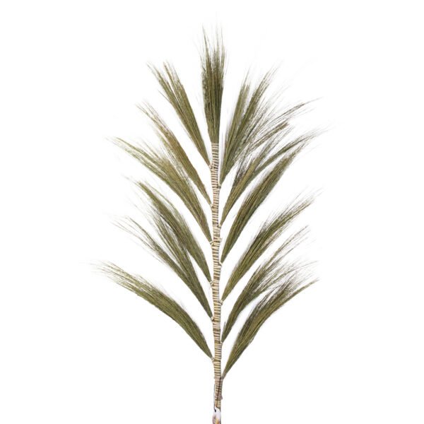 Rayung grass natural