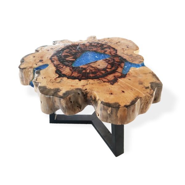 Tamarind & Resin Coffee Table