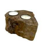 Petrified Wood Double Candle Holder