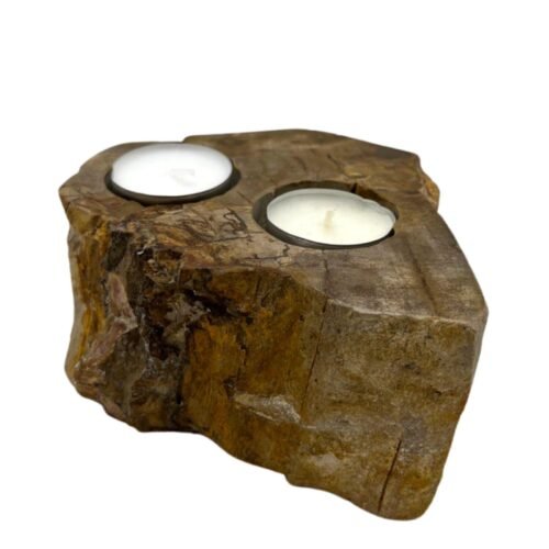 Petrified Wood Double Candle Holder