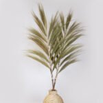 Rayung Grass Display