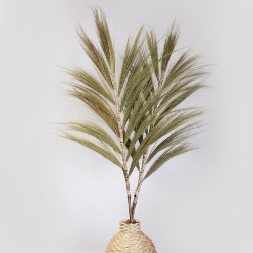 Rayung Grass Display