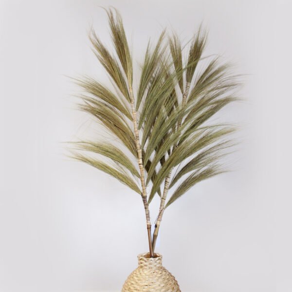 Rayung Grass Display